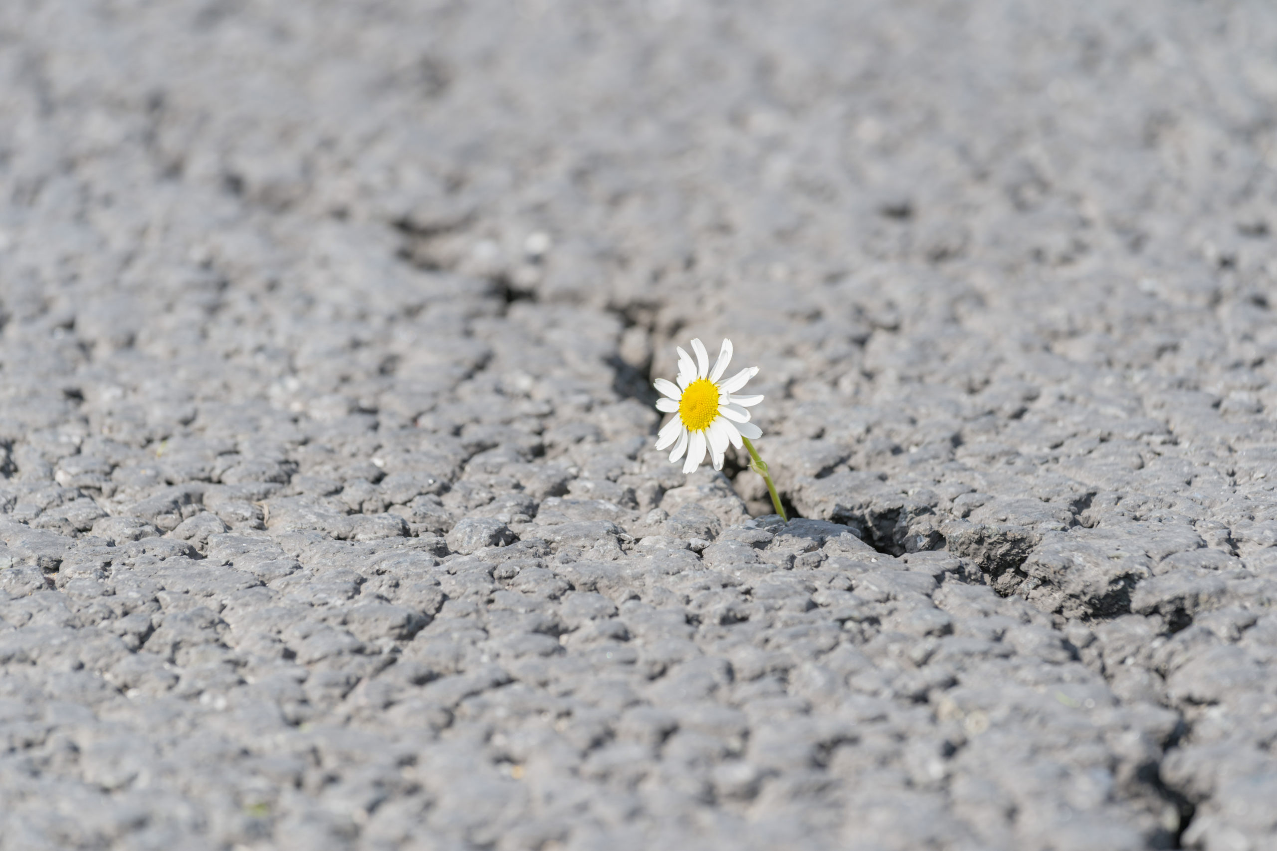 resilience