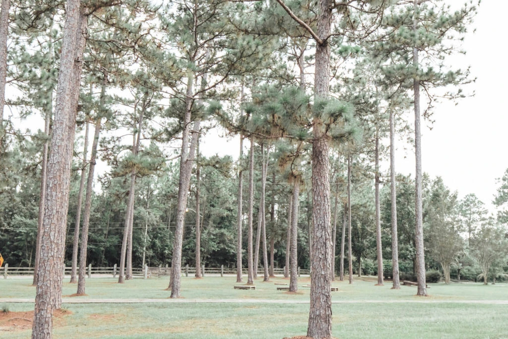 Our Campus