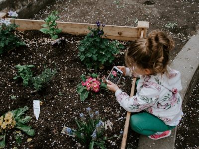 Smartphone Addiction in Children