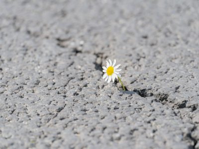 resilience